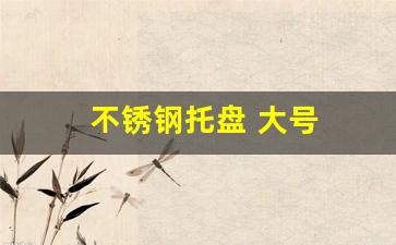 不锈钢托盘 大号(不锈钢托盘价格)_https://www.gzyhshgzzx.com_郑商所_第1张